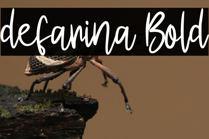 defarina Bold Example 1