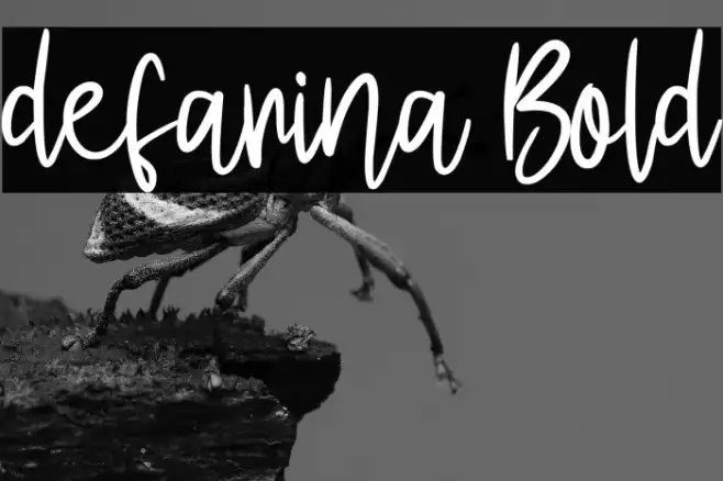 defarina Bold Example 1