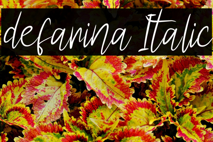 defarina Italic Example 1