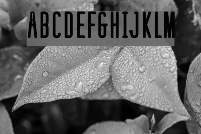 defatted milk Bold Font examples