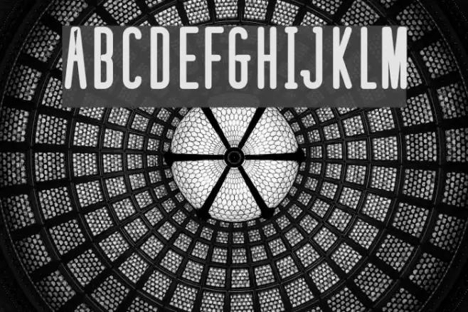 defatted milk Bold Font examples