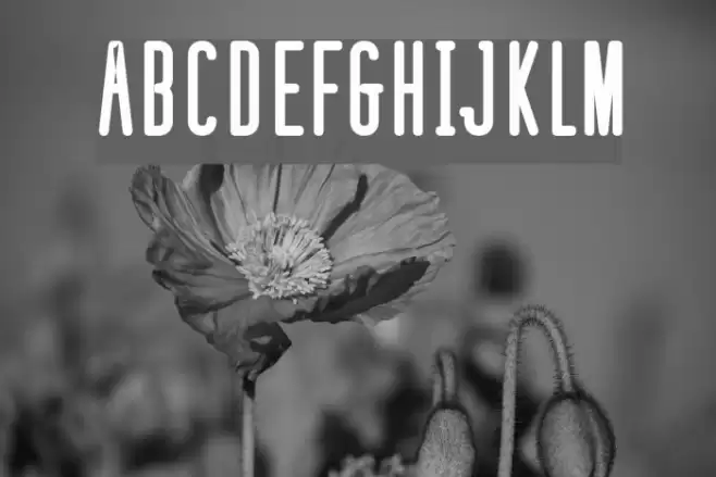 defatted milk Bold Font examples