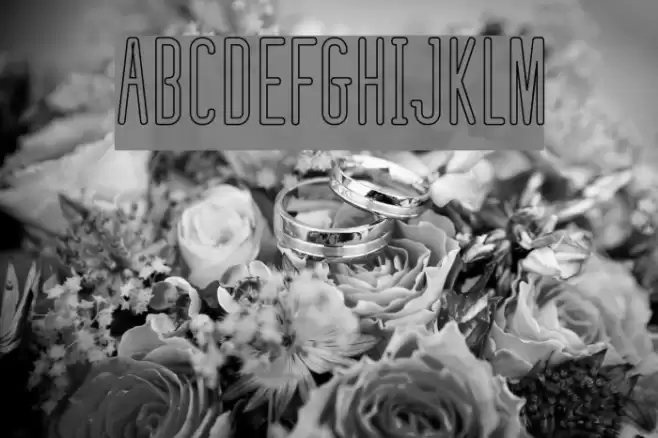 defatted milk Outline Font examples