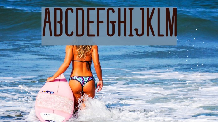 defatted milk Font examples