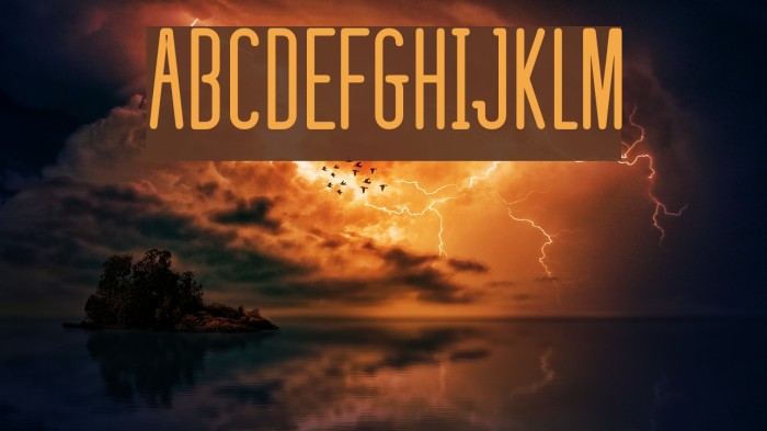 defatted milk Font examples