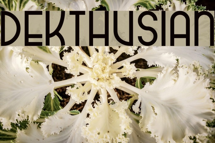 dekthusian Example 2