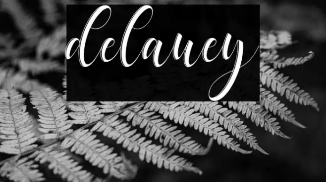 delaney Font examples