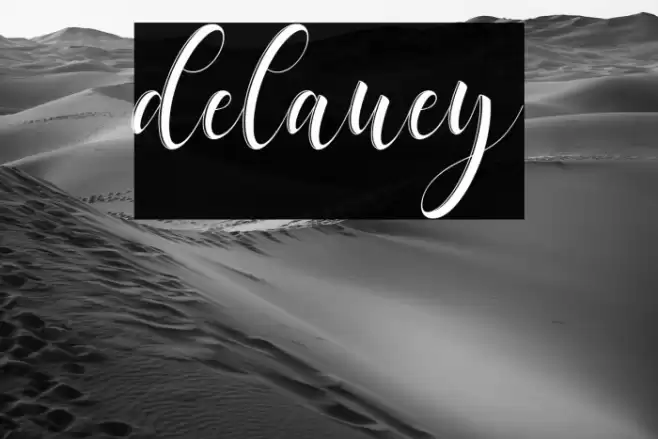 delaney Font examples