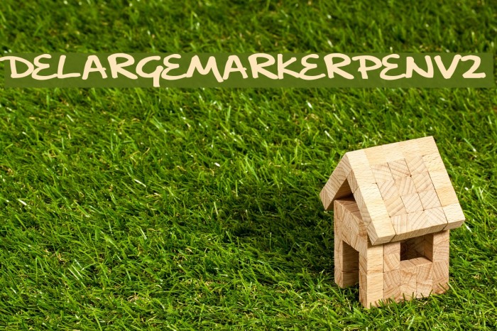 delargeMarkerPenv2 Font examples