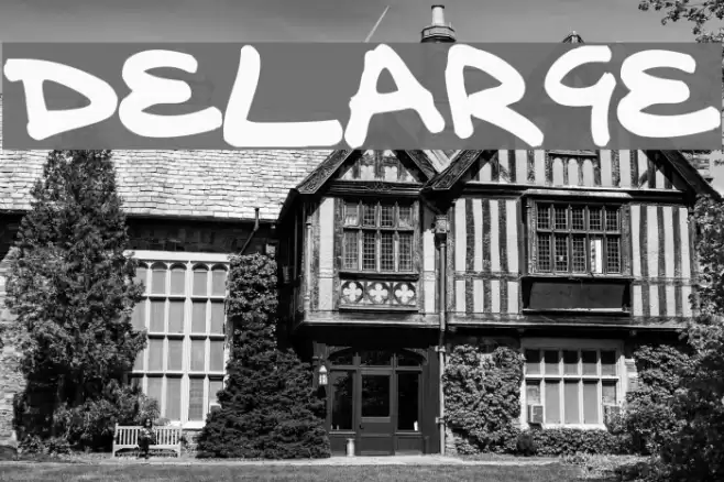 delarge Font examples