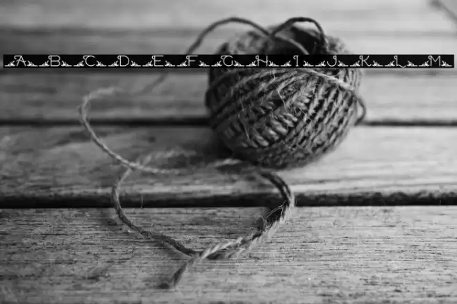 delave Font examples