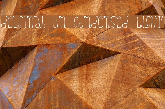 delfinah un Condensed Light Font examples