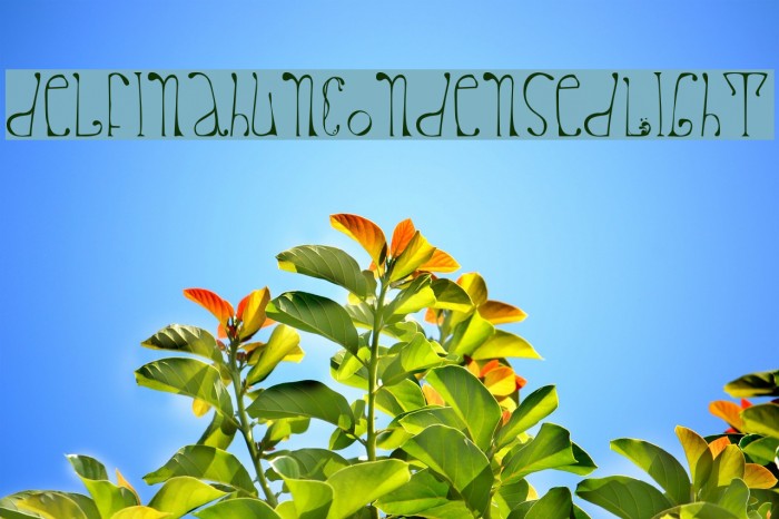 delfinahun-CondensedLight Example 1