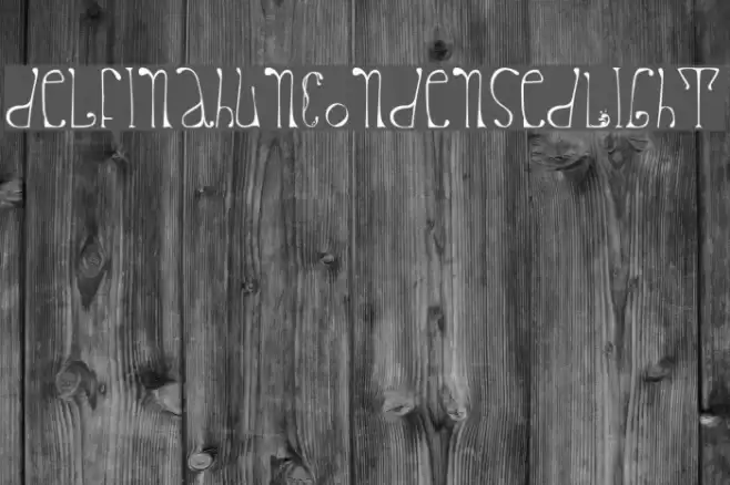 delfinahun-CondensedLight Font examples