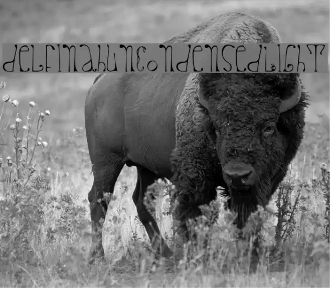 delfinahun-CondensedLight Font examples