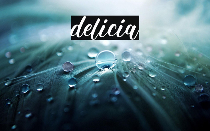 delicia Example 2