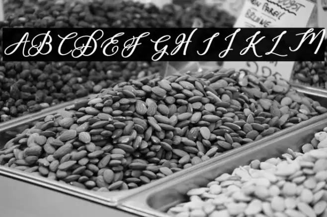 delightful-script Font examples