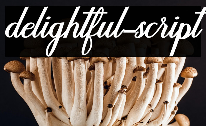 delightful-script Example 1