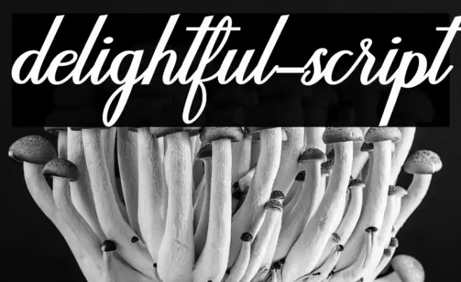 delightful-script Font examples