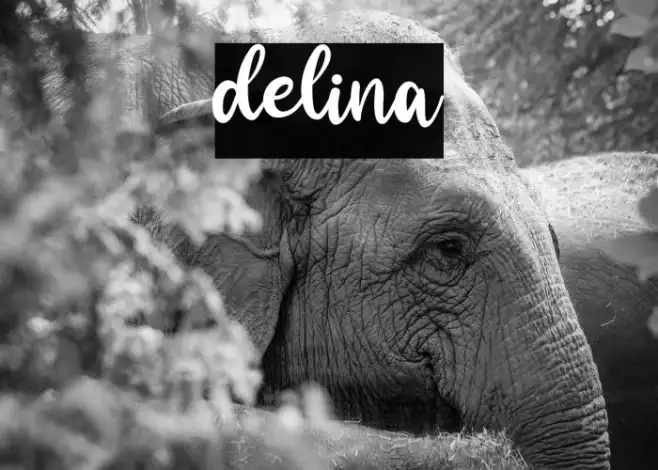 delina Example 1