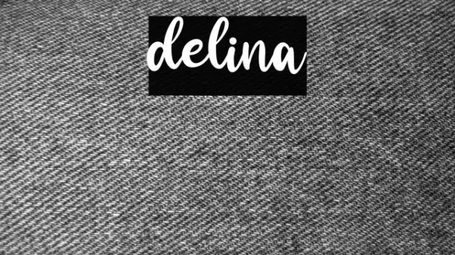 delina Example 3