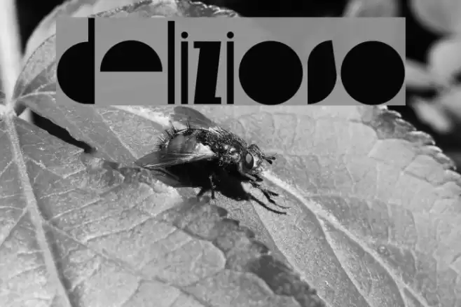 delizioso Font examples