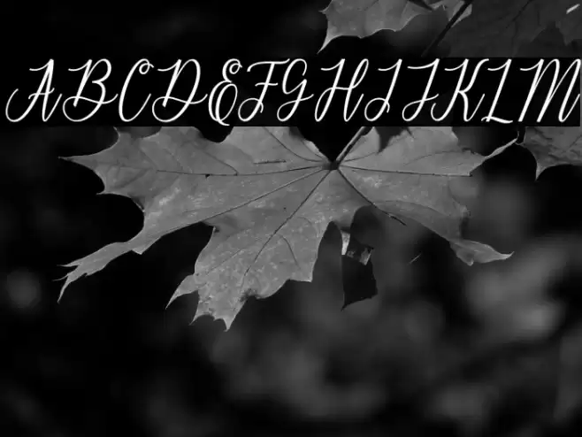 delthami Font examples