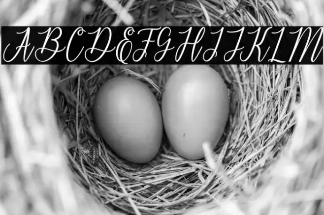 delthami Font examples