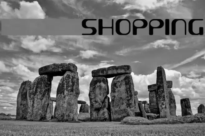 demoSHOPPING Example 1