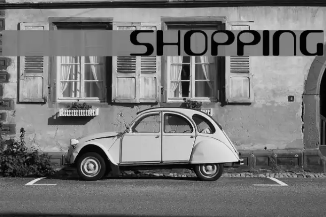 demoSHOPPING Example 2