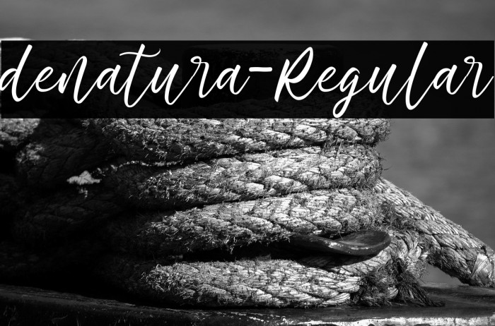 denatura-Regular Example 2