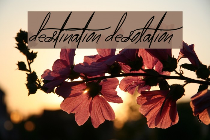 destination desolation Example 1