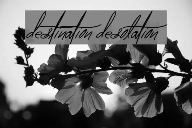 destination desolation Font examples