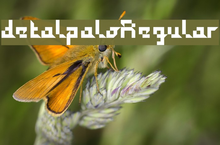 detalpaloRegular Example 3