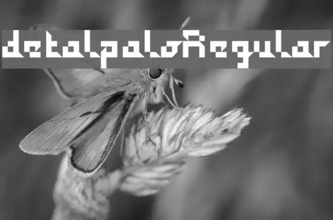 detalpaloRegular Font examples