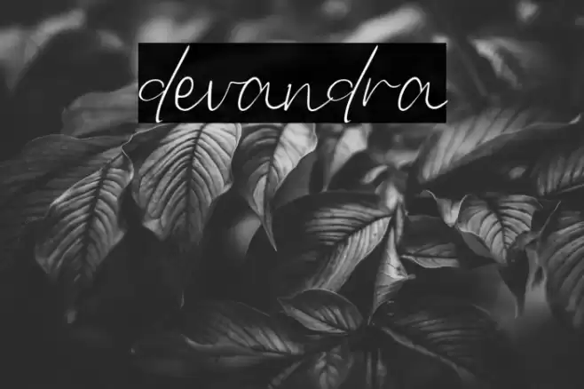 devandra Font examples