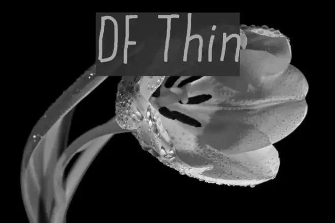 DF Thin Font examples