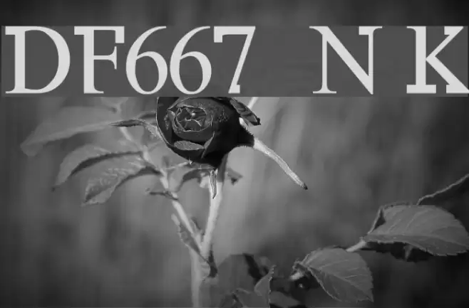DF667 New Kinder Fonte examples