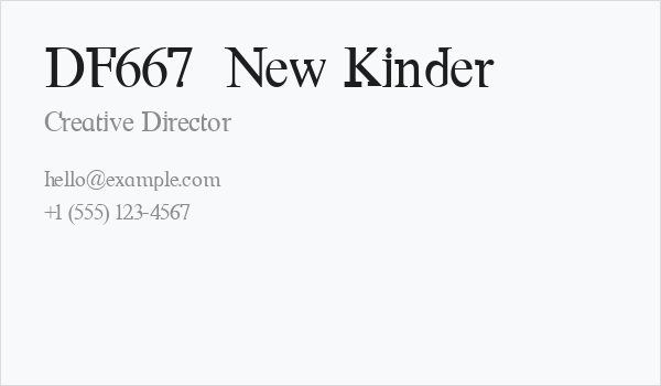 DF667  New Kinder Business Card