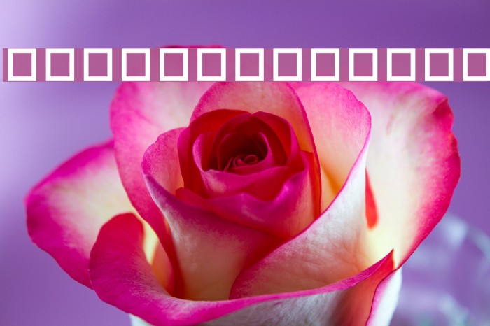 DFMingUBold1B Example 1