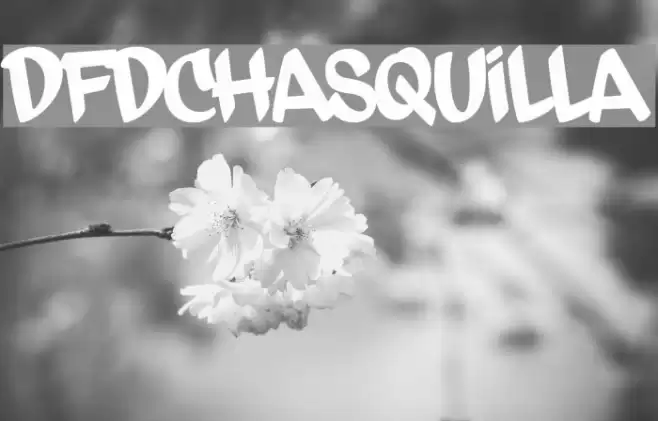 dfdChasquilla Font examples