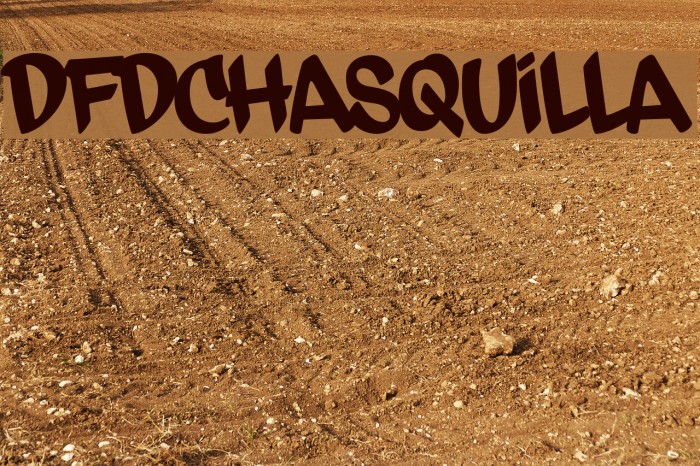 dfdChasquilla Font examples