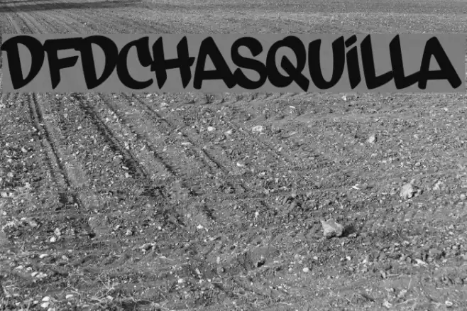 dfdChasquilla Font examples