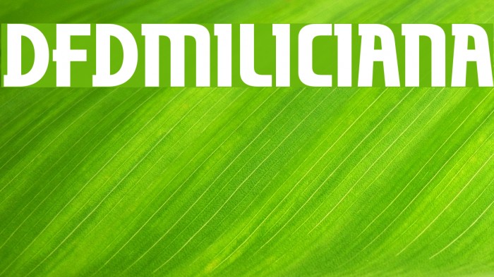 dfdMiliciana Example 1