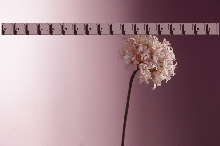 DH GENTRY [SIDE-B] Example 3