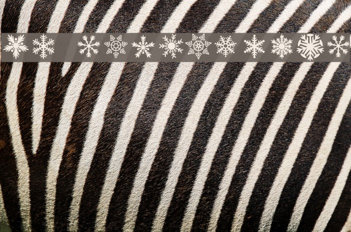 DH Snowflakes Font examples