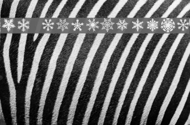 DH Snowflakes Example 1