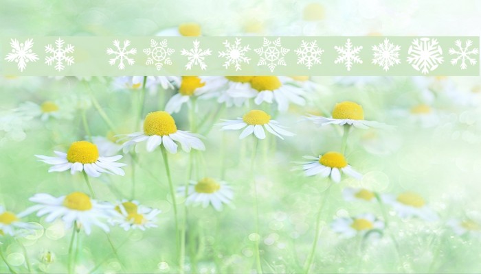DH Snowflakes Font examples