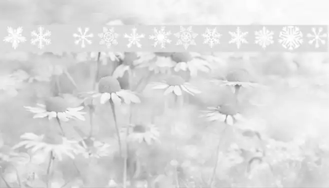 DH Snowflakes Example 3