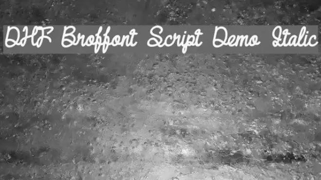 DHF Broffont Script Demo Italic Font examples